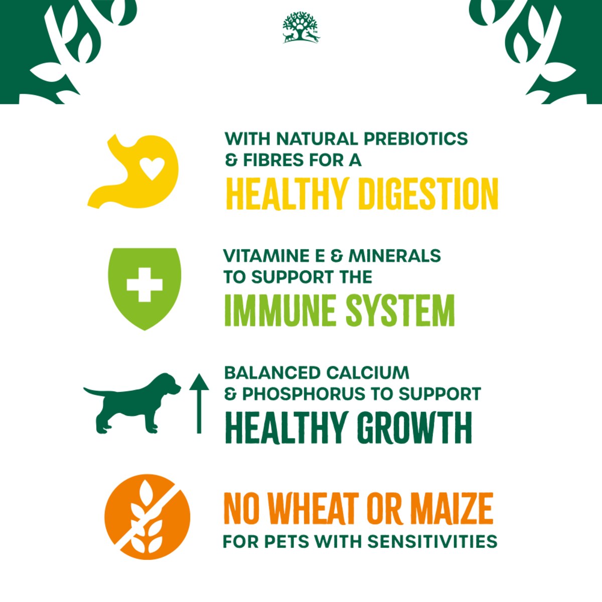 James Wellbeloved Turkey & Rice Puppy Dry Dog Food - 15kg_8